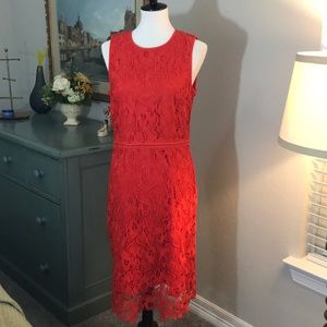 Ann Taylor- New- Size 8 Dress- STUNNING!